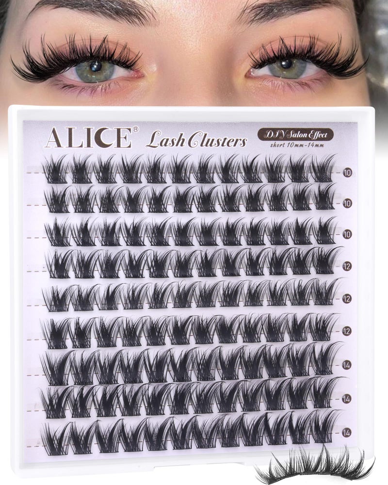 ALICE Lash Clusters Wispy Eyelash Clusters Short 10-14mm Cluster Eyelash Extensions Natural Volume Lash Extensions Thin Band DIY Individual Lashes - Image 1