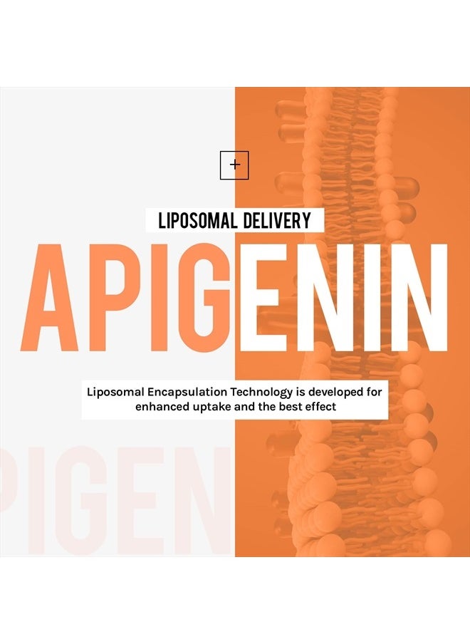 Cenffitio - Liposomal apigenin 500mg Softgels - Optimal Apigenin Supplement with Fisetin, Quercetin and Theaflavins (60 Count (Pack of 1)) - Image 1