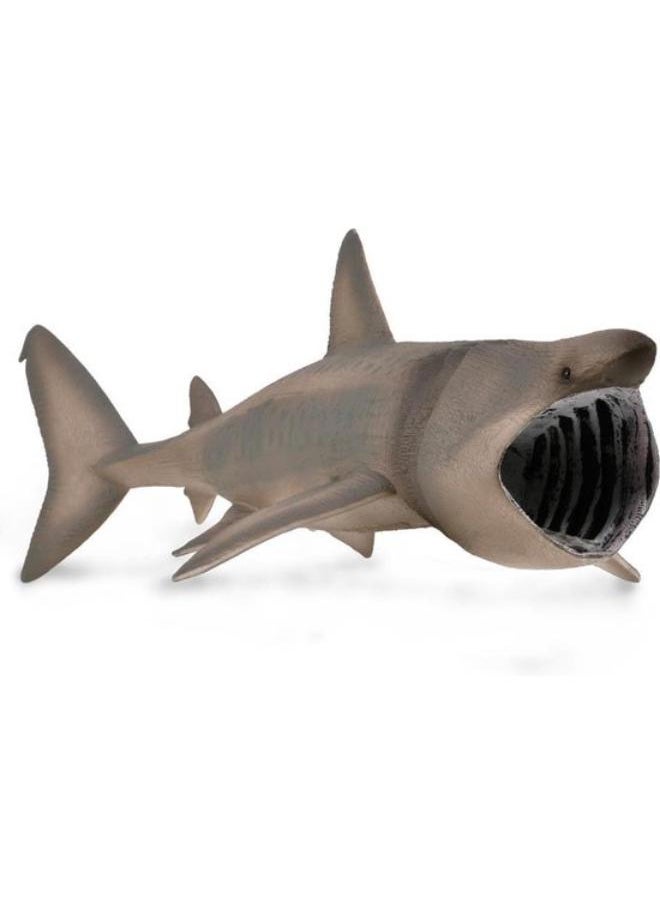 CollectA Basking Shark 