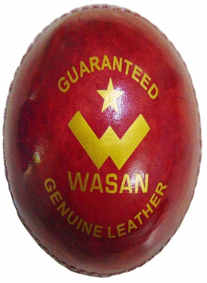واسان كرة كريكيت جلدية من واسان - Image 1