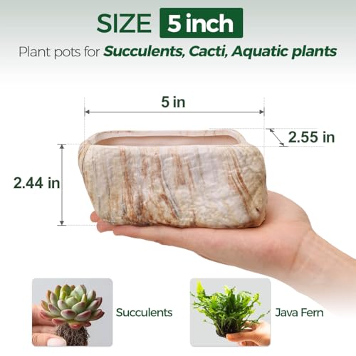 T4U 5.5 Inch Ceramic Succulent Pot Planter with Drainage Hole Set of 3, Stone Shape Rectangle Window Box Cactus Plant Containers Gift for Mom Sister Aunt Best for Home Office Table Desk Decoration - Image 2