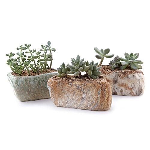 T4U 5.5 Inch Ceramic Succulent Pot Planter with Drainage Hole Set of 3, Stone Shape Rectangle Window Box Cactus Plant Containers Gift for Mom Sister Aunt Best for Home Office Table Desk Decoration - Image 1