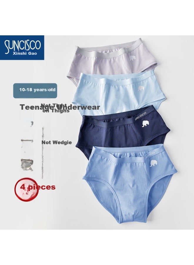Suncisco Boys' Boxer Briefs 10-12-16 Years Old Junior High School Boys Triangle Shorts Cotton Puberty Teenagers 3XL - Image 1
