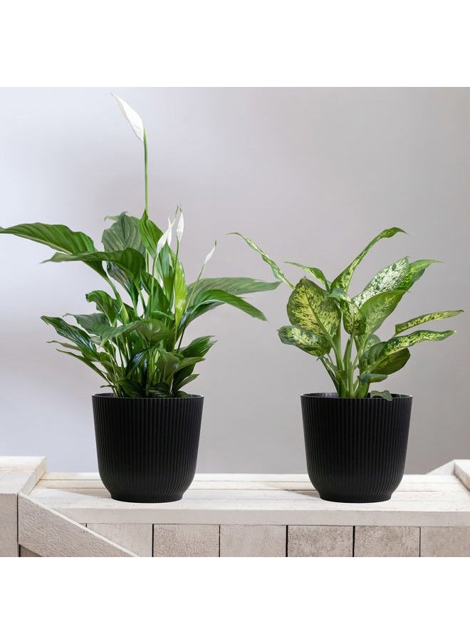 Olly & Rose - Oxford Plant Pot Planter Plastic - Pack of 2 - Indoor and Outdoor Flower Pots for Garden and Home - Toughened Resin Plant Pots (Black, 18cm) - Image 1