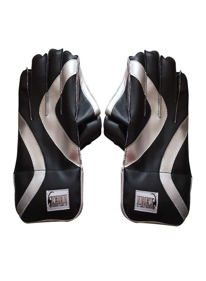 JetFire College Wicket Keeping Gloves Wicket Keeping Gloves (Men, Black) - Image 2