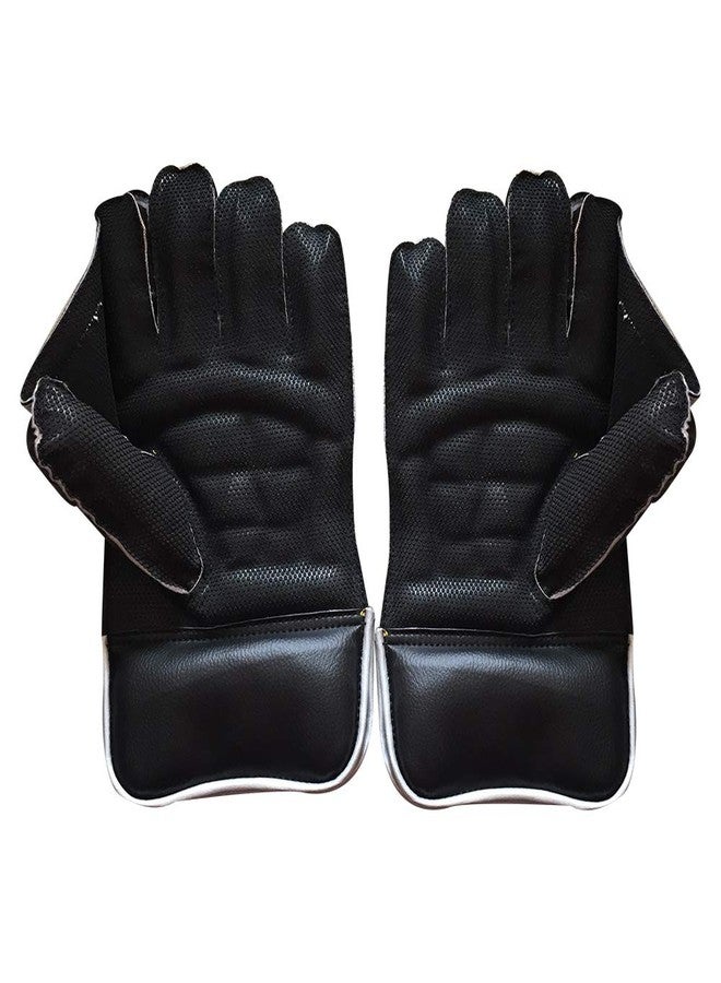JetFire College Wicket Keeping Gloves Wicket Keeping Gloves (Men, Black) - Image 3