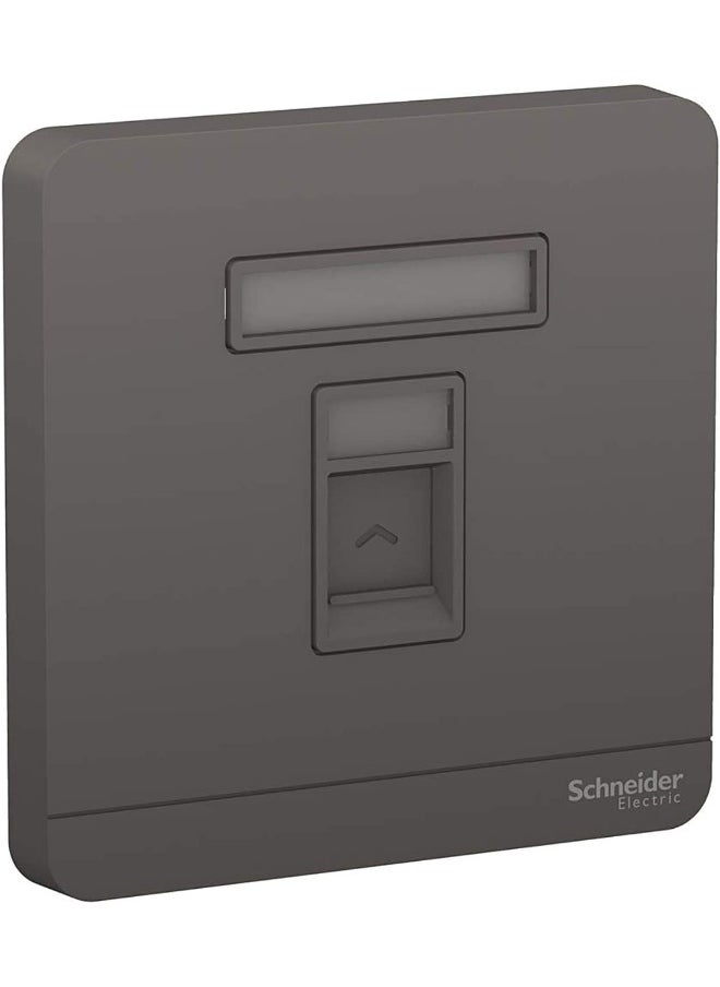 Schneider Electric Schneider Electric Avataron 1 Gang Wall Plate Dark Grey E8331Rjs_Dg 