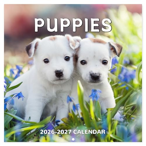 Chambom 2026-2027 Calendar - 18-Month Wall Calendar 2026-2027 Dog Calendars from Jul. 2026 - Dec. 2027, Calendar with Unruled Blocks, Holidays, 12" x 24"(open), Wall Calendars - Puppy - Image 1