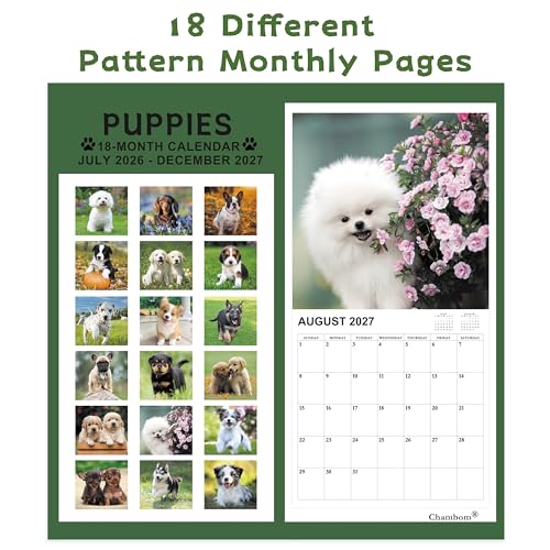 Chambom 2026-2027 Calendar - 18-Month Wall Calendar 2026-2027 Dog Calendars from Jul. 2026 - Dec. 2027, Calendar with Unruled Blocks, Holidays, 12" x 24"(open), Wall Calendars - Puppy - Image 3