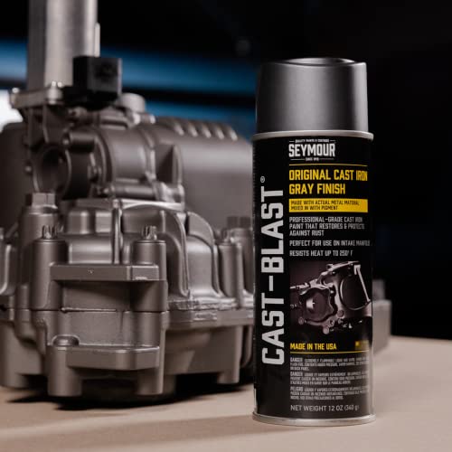 Seymour CA16-48 Cast Blast Spray Paint 12 Ounce (Pack of 1) - Image 5