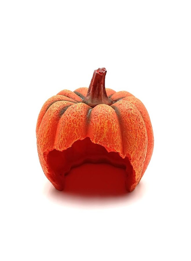 Shelltech Reptile Hideout Resin Aquarium Decoration Pumpkin House for Small Fish,Shrimps,Frogs,Gecko, Spider (Mini Pumpkin) - Image 1