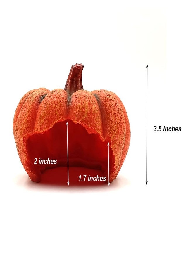 Shelltech Reptile Hideout Resin Aquarium Decoration Pumpkin House for Small Fish,Shrimps,Frogs,Gecko, Spider (Mini Pumpkin) - Image 3
