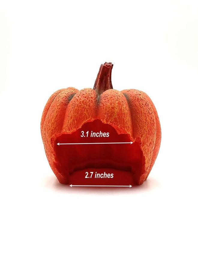 Shelltech Reptile Hideout Resin Aquarium Decoration Pumpkin House for Small Fish,Shrimps,Frogs,Gecko, Spider (Mini Pumpkin) - Image 4