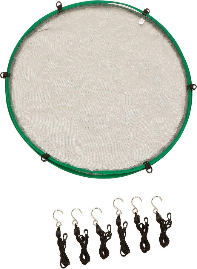 Songbird Essentials SEIA30024 Seed Hoop Seed Catcher & Platform Feeder - Image 2