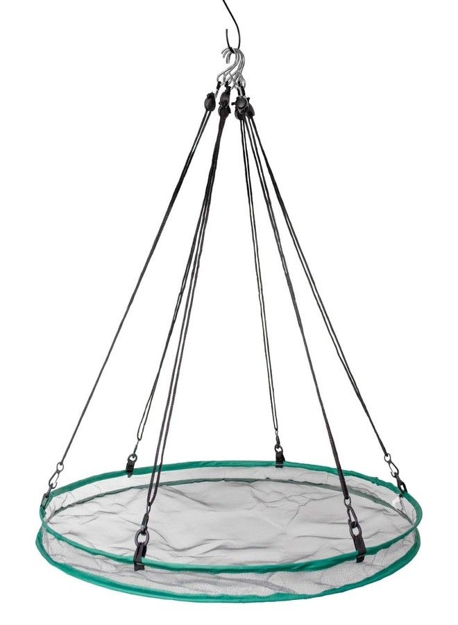 Songbird Essentials SEIA30024 Seed Hoop Seed Catcher & Platform Feeder - Image 1