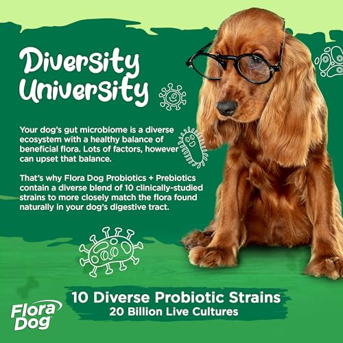 Vital Planet - Flora Dog Probiotic Chewable Tablets Supplement with 20 Billion Cultures and 10 Strains, High Potency Immune and Digestive Support Probiotics for Dogs, 30 Beef Flavored Chewable Tablets - Image 3