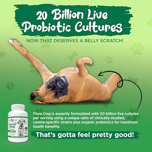 Vital Planet - Flora Dog Probiotic Chewable Tablets Supplement with 20 Billion Cultures and 10 Strains, High Potency Immune and Digestive Support Probiotics for Dogs, 30 Beef Flavored Chewable Tablets - Image 5