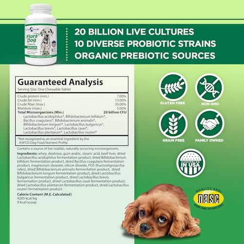 Vital Planet - Flora Dog Probiotic Chewable Tablets Supplement with 20 Billion Cultures and 10 Strains, High Potency Immune and Digestive Support Probiotics for Dogs, 30 Beef Flavored Chewable Tablets - Image 2