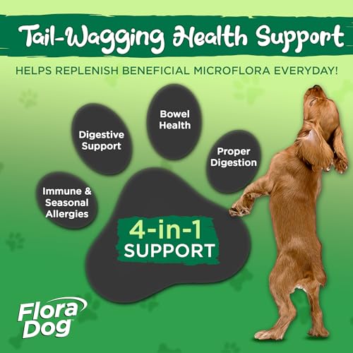 Vital Planet - Flora Dog Probiotic Chewable Tablets Supplement with 20 Billion Cultures and 10 Strains, High Potency Immune and Digestive Support Probiotics for Dogs, 30 Beef Flavored Chewable Tablets - Image 4