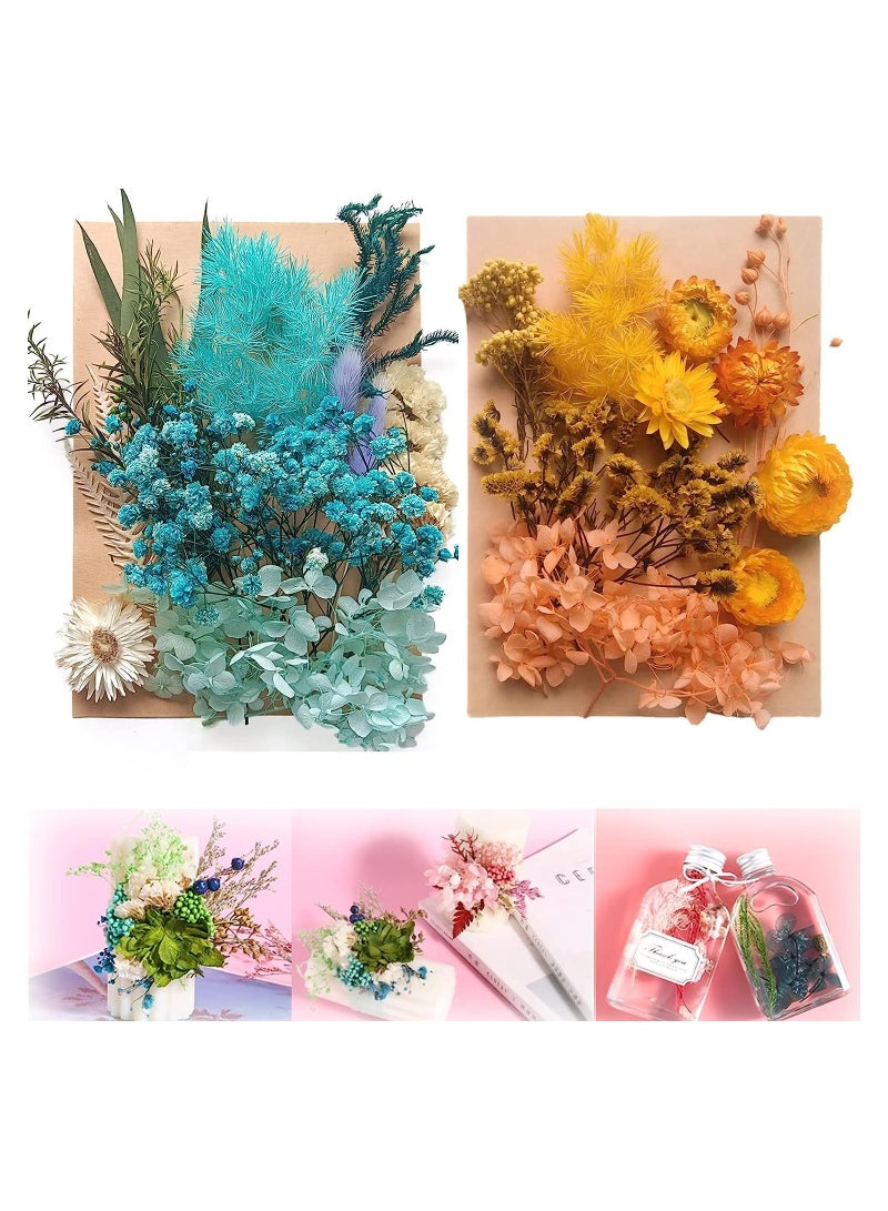 Natural Dried Flowers for DIY Crafts - 2 Colors Pressed Flat Flowers & Leaves for Resin, Soap, Candle Making, Scrapbooking (Blue+Orange) - Image 1