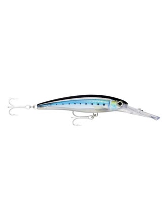 HD Blue Sardine