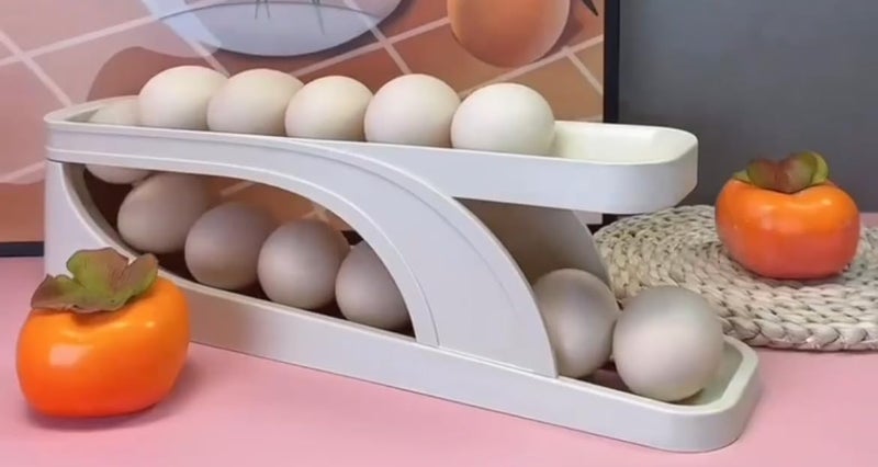 Genaric Egg Slide Organizer 2 Door