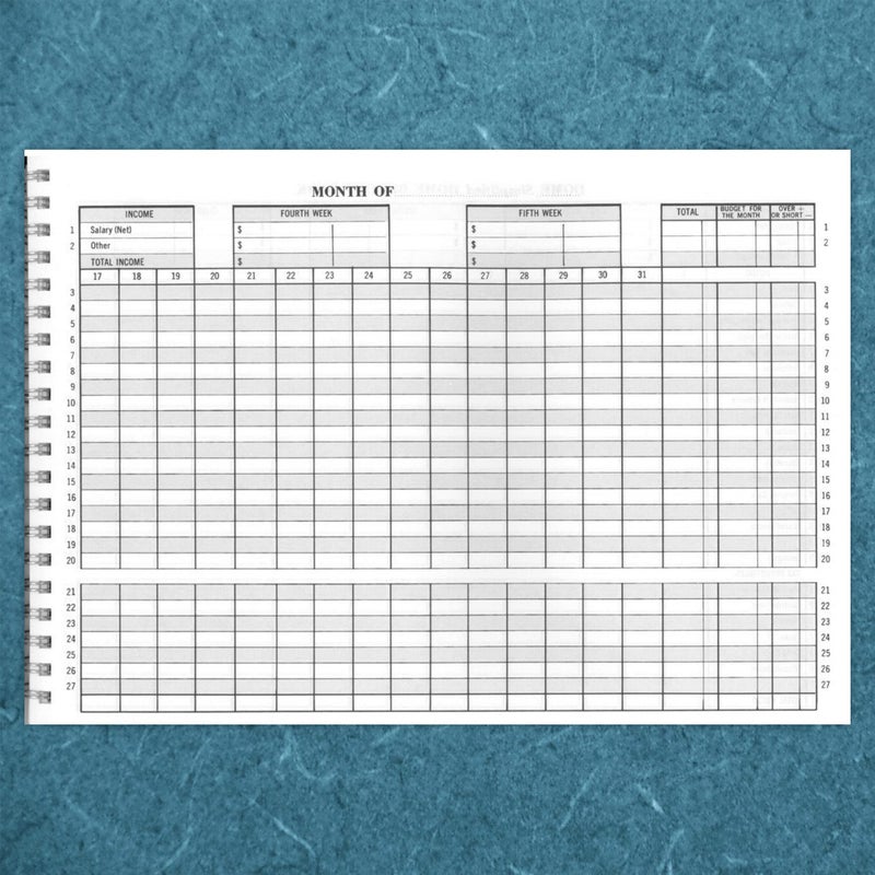 Dome(R) Simplified Home Budget Book, 7 1/2in. x 10 1/2in., Teal - Image 5