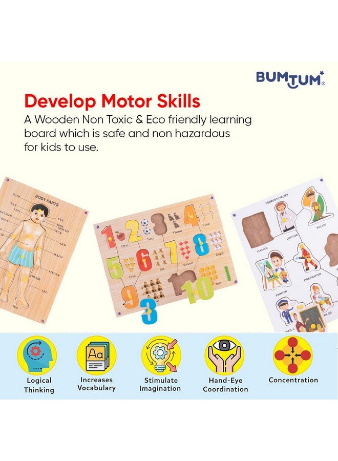 بومتوم ألعاب ألغاز خشبية من "بومتوم" لأجزاء الجسم، أرقام (١-١٠) ومساعد مجتمعي مع مقبض | ألعاب تعليمية للأطفال من سن ٣ سنوات فما فوق (مجموعة من ٣ قطع، متعددة الألوان) - Image 3