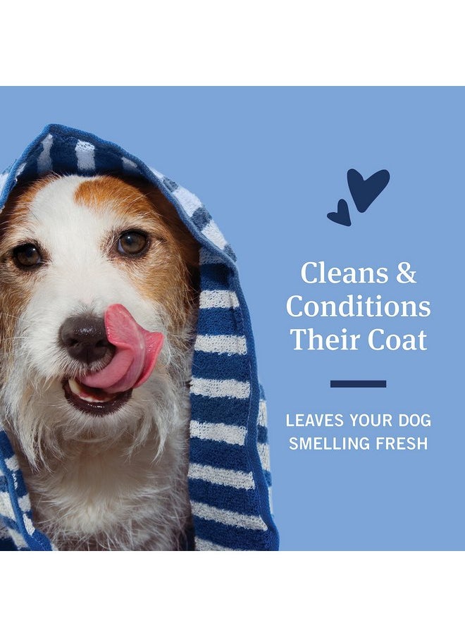 PetArmor - PetArmor Flea & Tick Protection Oatmeal Shampoo for Dogs, Hawaiian Ginger Scent, 18 oz - Image 1