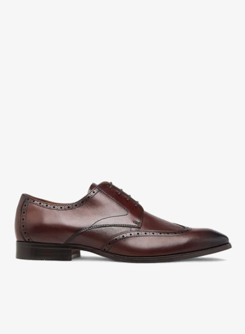 DUCHINI Men's Perforated Derby Shoes with Lace-Up Closure
