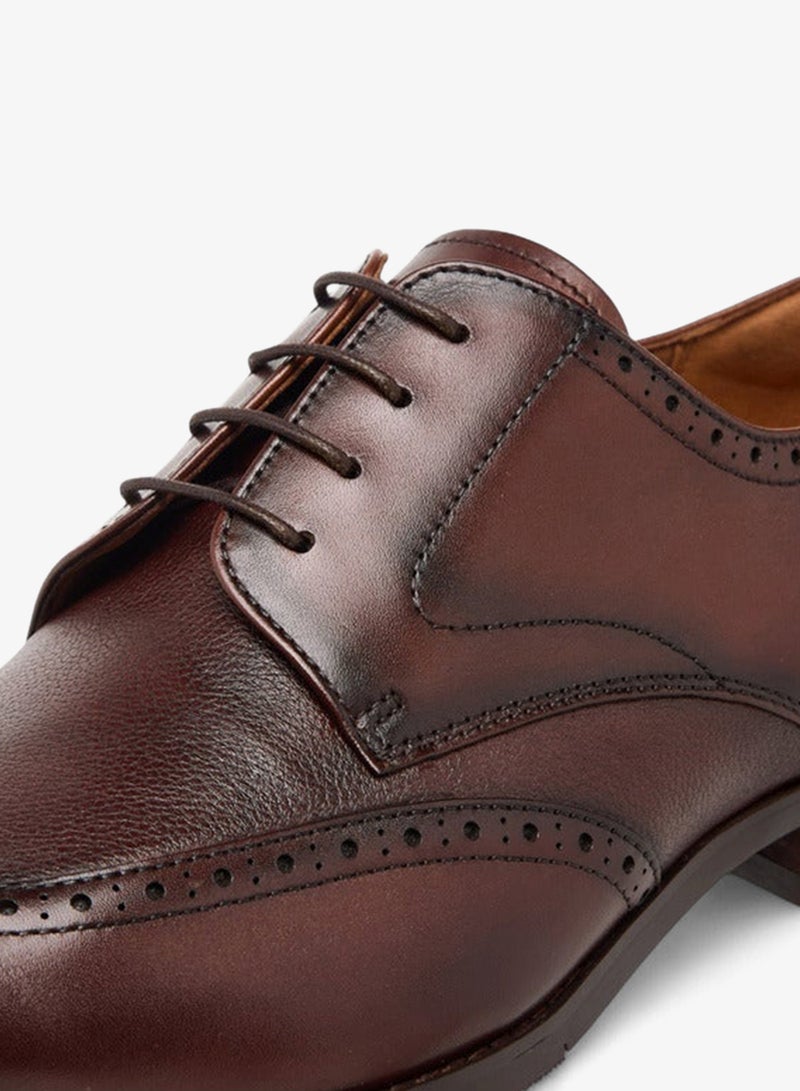 دوتشيني أحذية ديربي رجالية مثقبة برباط - Image 4