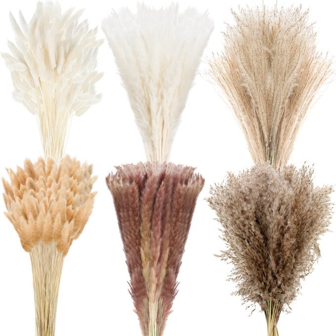 650 PCS DRIED PAMPAS GRASS DECOR BULK 17 DRIED BUNNY TAIL FLUFFY POMPOUS PAMPAS NATURAL REED GRASS BOUQUET WEDDING BOHO DRIED FLOWERS FOR HOME TABLE PARTY DECORCLASSIC