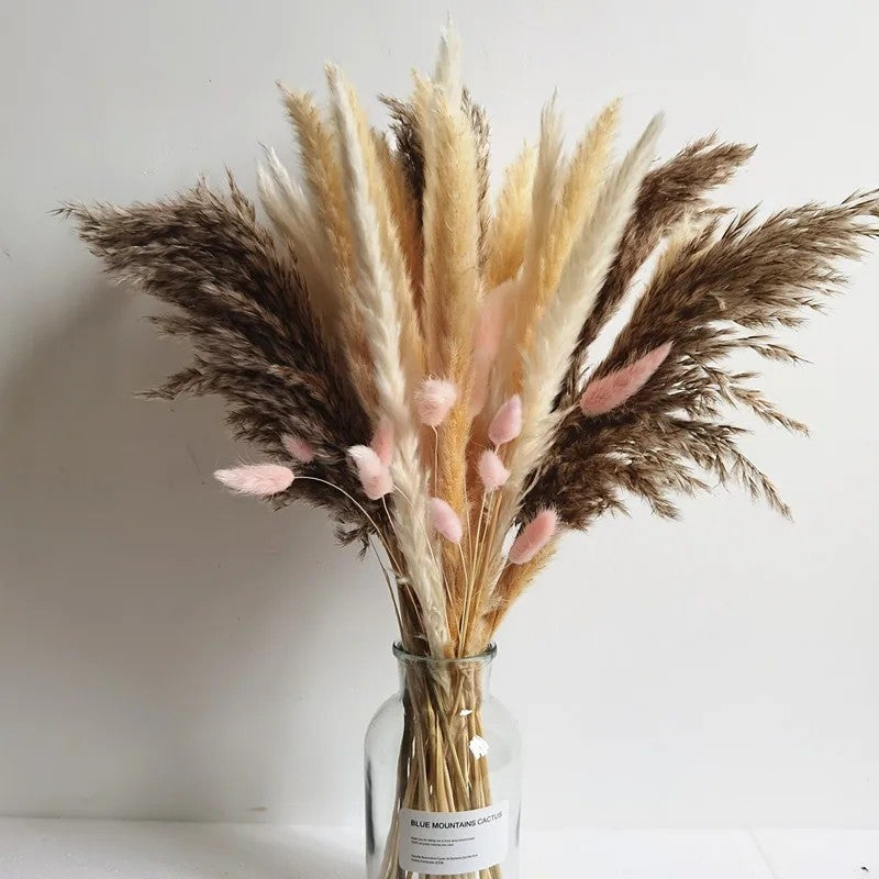 Y&D Home Decoration Wedding Flower Preserved Pampas Grass Bouquet - Natural Dried Plants, Mini & Large Boho Floral Arrangement - Image 1