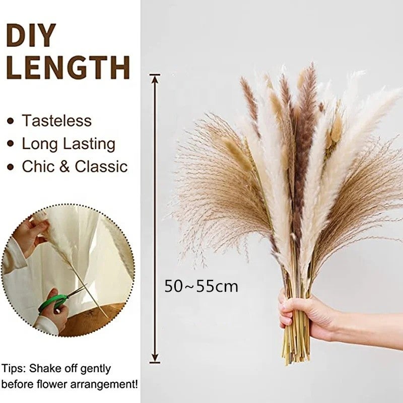 Y&D Home Decoration Wedding Flower Preserved Pampas Grass Bouquet - Natural Dried Plants, Mini & Large Boho Floral Arrangement - Image 3