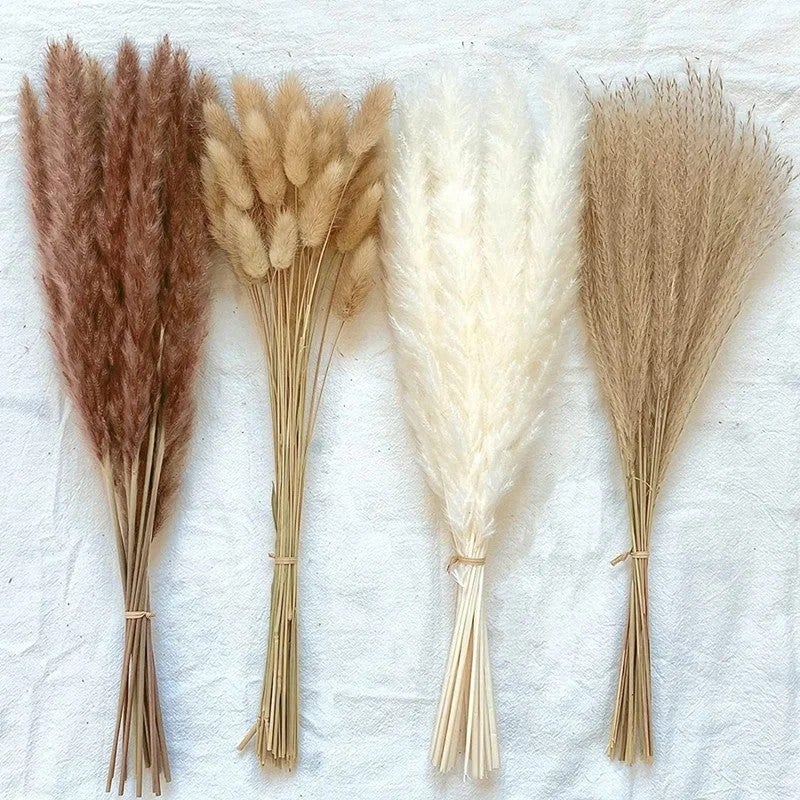 Y&D Home Decoration Wedding Flower Preserved Pampas Grass Bouquet - Natural Dried Plants, Mini & Large Boho Floral Arrangement - Image 4