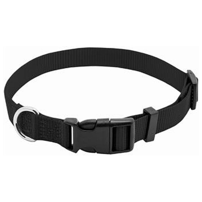 WESTMINSTER PE3/4X20 BLK DOG COLLAR