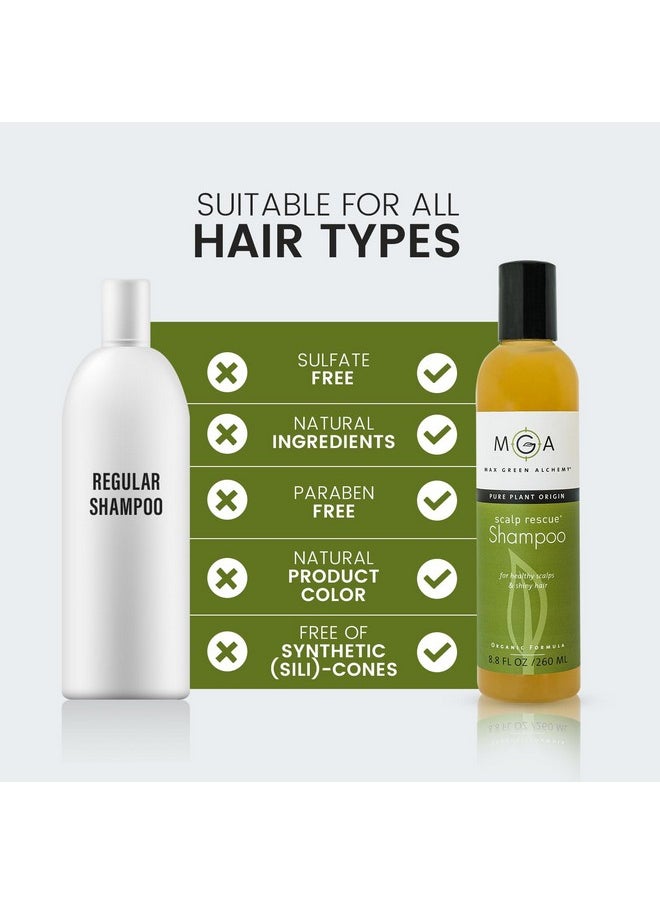 Max Green Alchemy MGA Vegan Hair Shampoo - Organic Formula for All Types of Hair | With Natural Herbal Scent for Men & Women | Parabens Silicone & Sulfate Free Dandruff Shampoo Provides Frizz control | 8.8 Fluid Ounce  - Image 4
