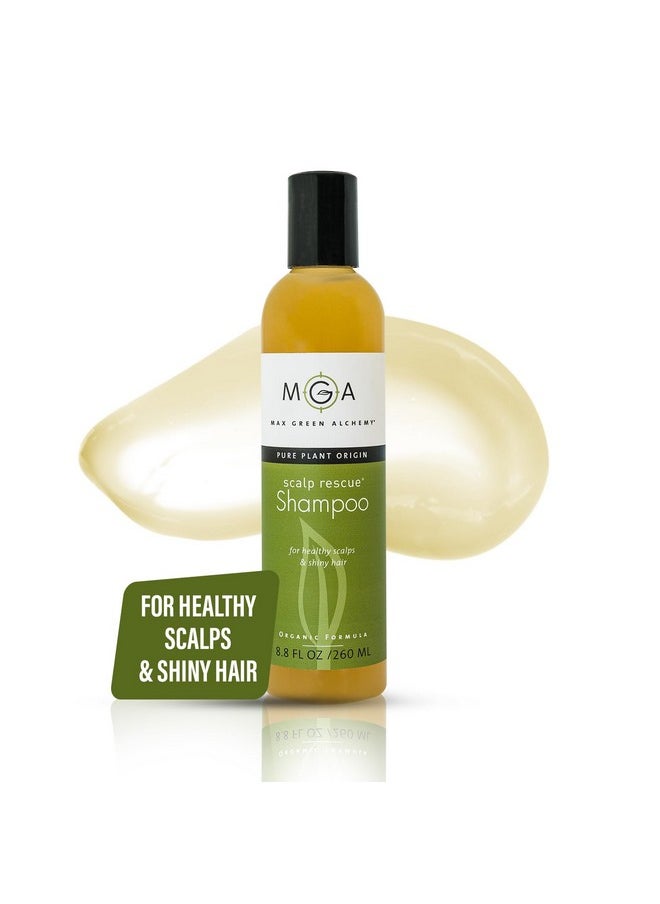 Max Green Alchemy MGA Vegan Hair Shampoo - Organic Formula for All Types of Hair | With Natural Herbal Scent for Men & Women | Parabens Silicone & Sulfate Free Dandruff Shampoo Provides Frizz control | 8.8 Fluid Ounce  - Image 1