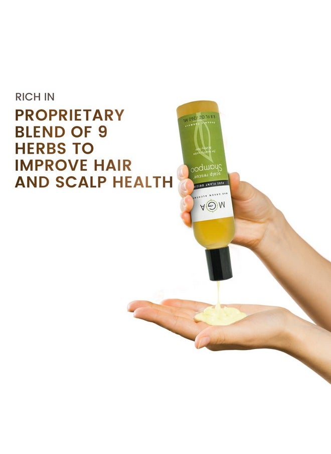 Max Green Alchemy MGA Vegan Hair Shampoo - Organic Formula for All Types of Hair | With Natural Herbal Scent for Men & Women | Parabens Silicone & Sulfate Free Dandruff Shampoo Provides Frizz control | 8.8 Fluid Ounce  - Image 5