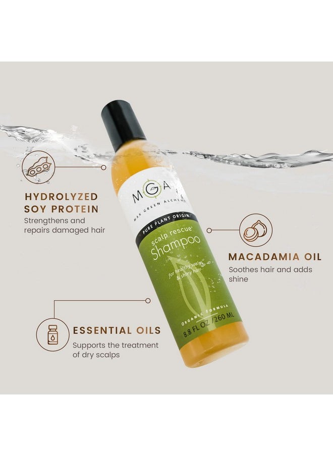 Max Green Alchemy MGA Vegan Hair Shampoo - Organic Formula for All Types of Hair | With Natural Herbal Scent for Men & Women | Parabens Silicone & Sulfate Free Dandruff Shampoo Provides Frizz control | 8.8 Fluid Ounce  - Image 2