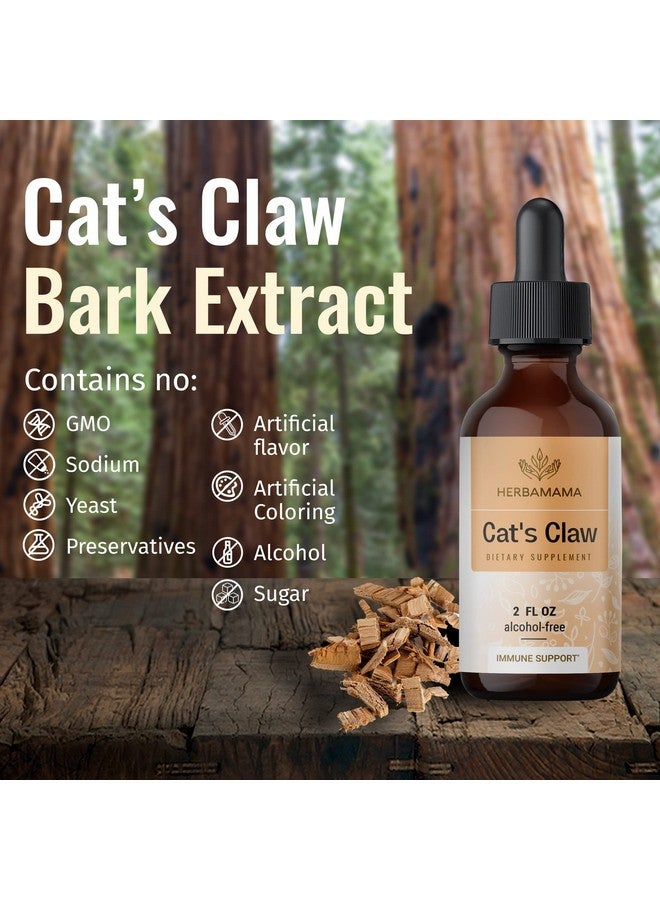 HERBAMAMA Cats Claw Tincture Organic Cat’S Claw Herb Drops Uncaria Tomentosa Bark Liquid Extract Alcoholfree Vegan Supplement 2 Fl Oz - Image 5