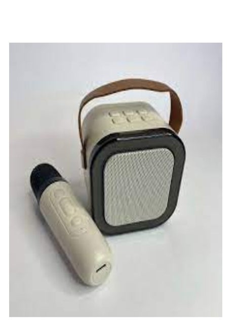 Bluetooth Speaker and Microphone Model - K22