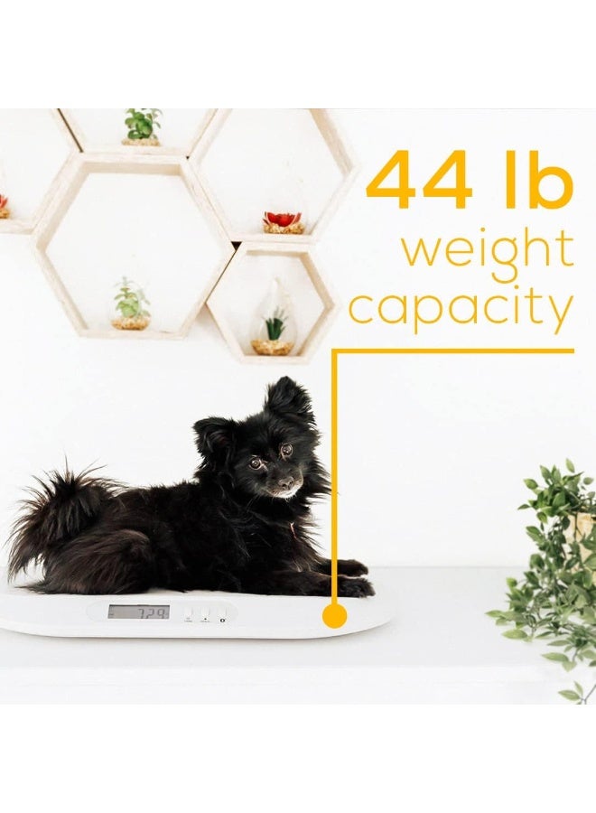 Beurer BY90 Baby Scale, Pet Scale, Digital, with Measuring Tape, tracking weight with App - Image 4