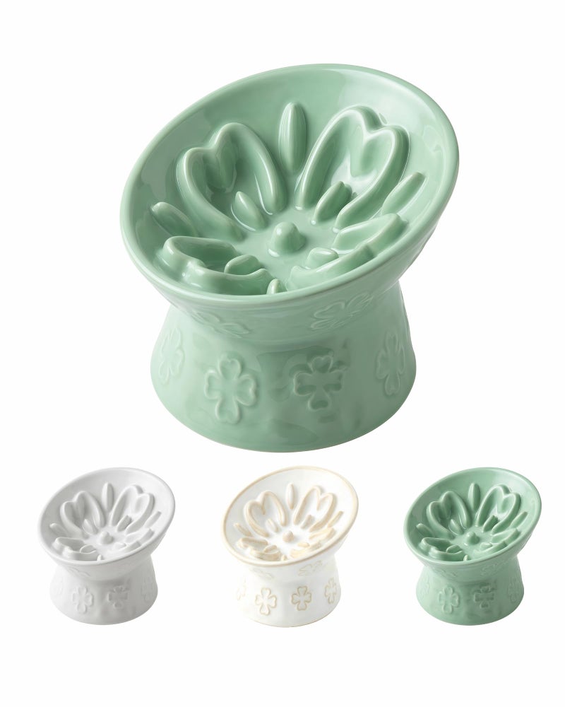 TRUVIC Ceramic Slow Feeder Cat Bowl, 15Â° Tilted Elevated Cat Slow Eating Bowl for Neck Protection, Anti Vomiting Dog Slow Feeder, Whisker Friendly & No Black Chin for Cats and Small Dogs, Green - Image 1