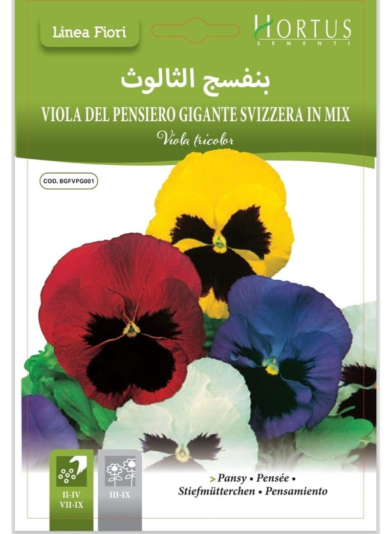 Pansy Seeds