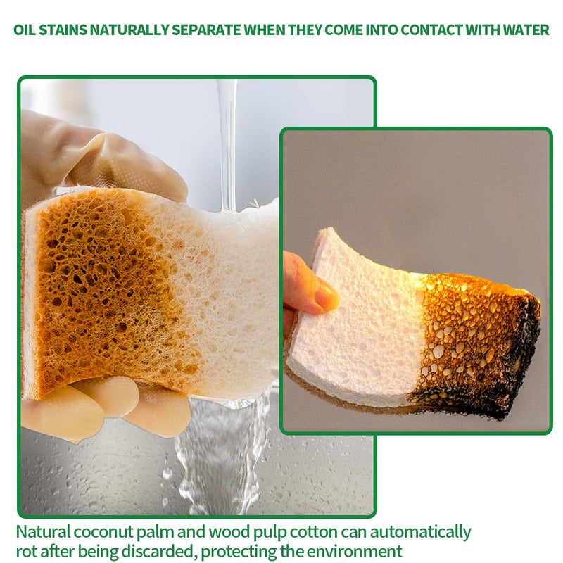 PUCITY Sponges Kitchen Natural Dish Sponge Plant-Based Biodegradable Compostable Cellulose with Coconut Scrubber Sponge Non Scratch Eco Friendly Kitchen sponges for Kitchen Dishesï¼ˆPack of 12ï¼‰ - Image 4