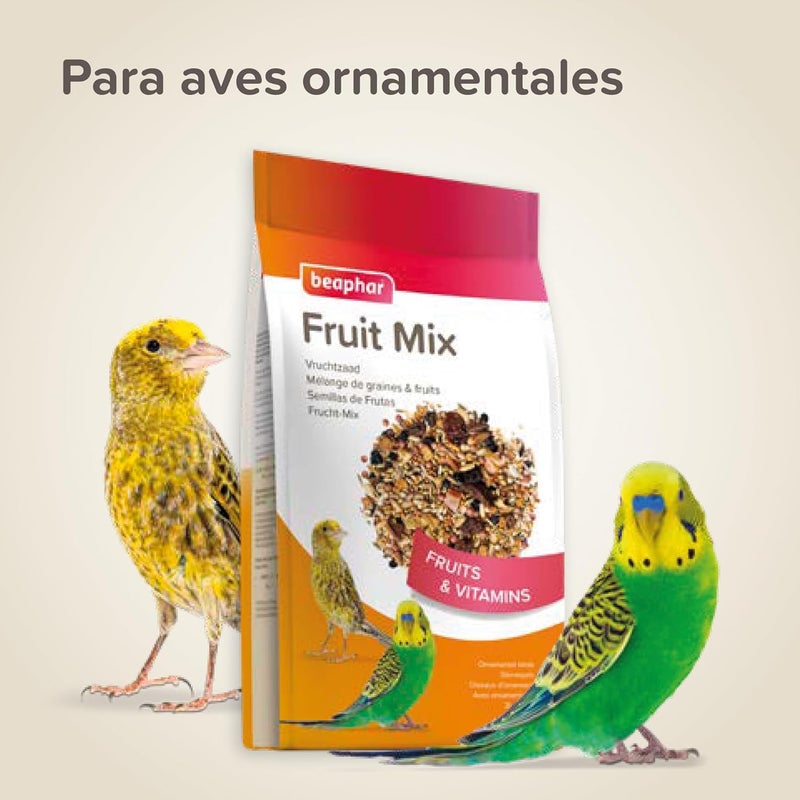 Beaphar Fruit seed 150g - Snack for birds - With raisins, papaya, apple and elderberry - Enriched with vitamins - Supplement to the daily diet - Image 5