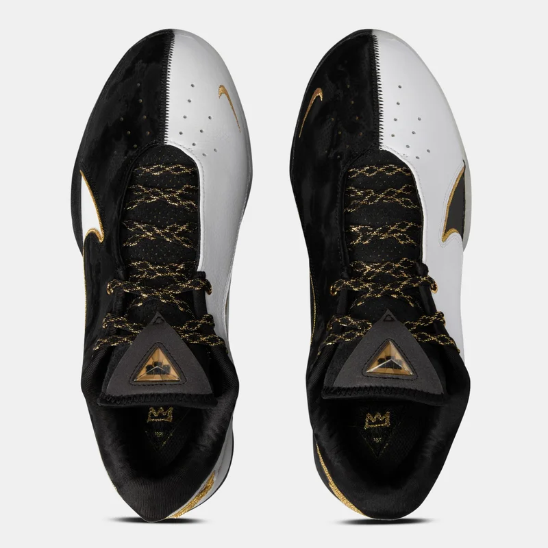 Nike Men's LeBron XXII Basketball Shoes