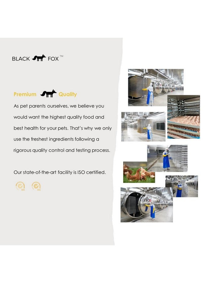 Black Fox FreezeDried Egg Yolk Dog Treats | Topper | Cat Treats | 4Oz Single Ingredient, Raw, Healthy, All Natural, Human Grade, Recyclable Packaging - Image 4