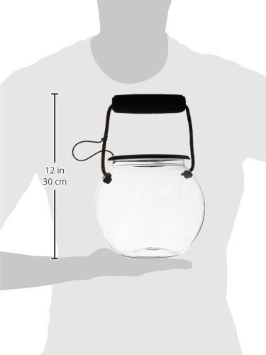 Flat River Group Dry Branch Sports Design Catch and Release Beach Aquarium Kit , Clear - Image 2